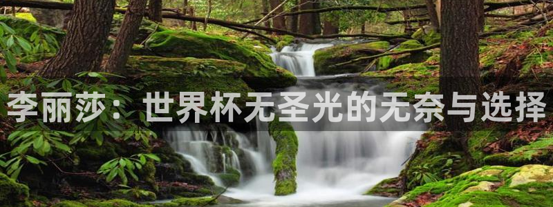 世界杯直播网站：李丽莎：世界杯无圣光的无奈与选择