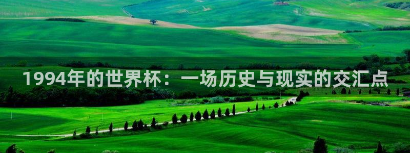 欧洲区世界杯预选赛：1994年的世界杯：一场历史与现实的交汇点