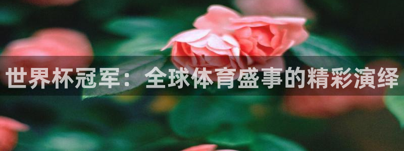 2026世界杯小组赛赛程时间表：世界杯冠军：全球体育盛事的精彩演绎