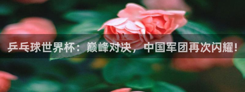 2026世界杯日期：乒乓球世界杯：巅峰对决，中国军团再次闪耀!