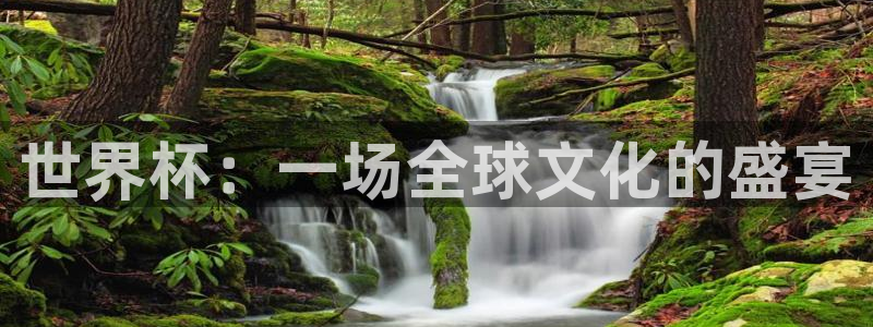 世界杯比赛直播：世界杯：一场全球文化的盛宴