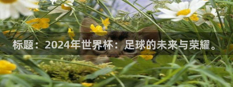 世界杯 2026：标题：2024年世界杯：足球的未来与荣耀。