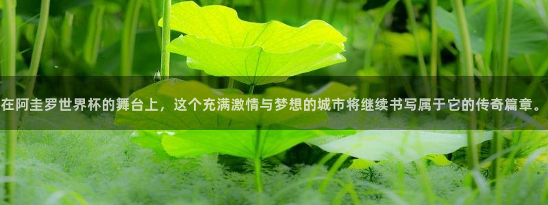 2026足球世界杯赛程：在阿圭罗世界杯的舞台上，这个充满激情与梦想的城市将继续书写属于它的传奇篇章。