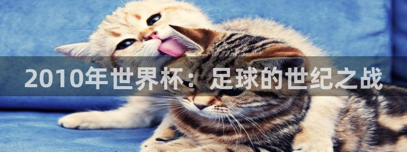 2026世界杯买球：2010年世界杯：足球的世纪之战