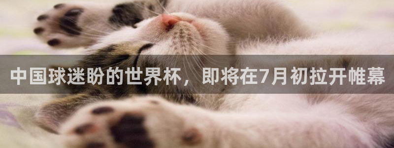 世界杯足球2026：中国球迷盼的世界杯，即将在7月初拉开帷幕